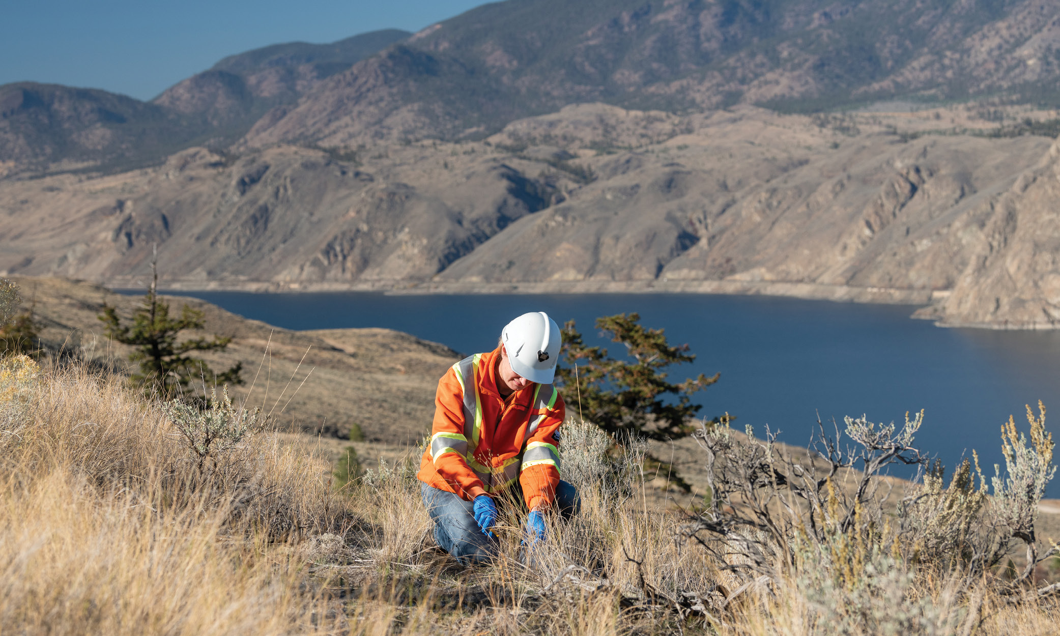 New Gold water stewardship technical review